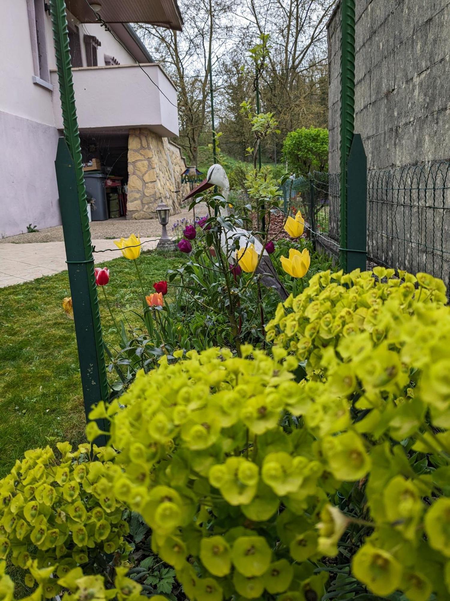 Villa Chantal Verdun-sur-Meuse Bagian luar foto
